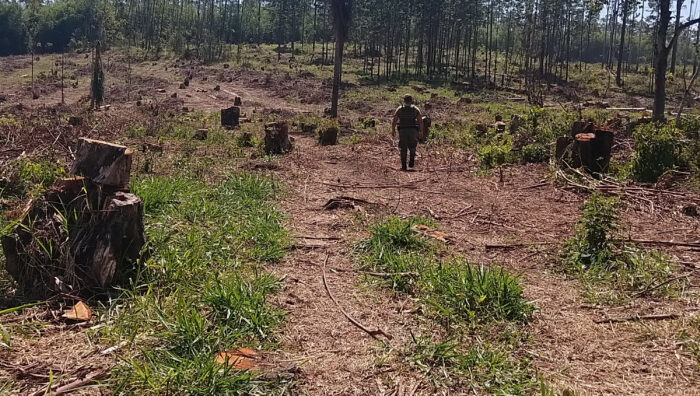 GPA resgata animais em situação de abandono e impede movimentação de terra e desmatamento