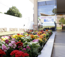 Assistência Social promove 25 mil atendimentos por meio do Cras e do Creas