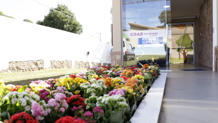Assistência Social promove 25 mil atendimentos por meio do Cras e do Creas