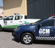 GPA resgata dois animais silvestres na área central