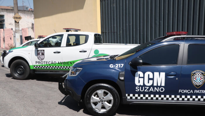 GPA resgata dois animais silvestres na área central