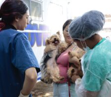 Primeiro mutirão de castração do ano contemplará 230 pets no Jardim Imperador