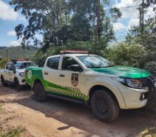 Fiscalização integrada combate parcelamento irregular em área de Palmeiras