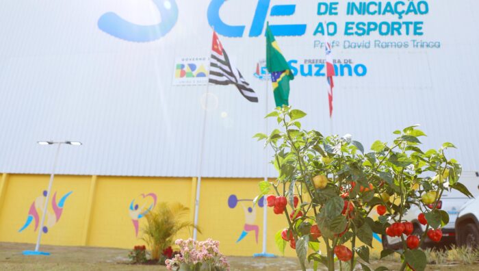 Atividades do Centro de Iniciação ao Esporte começam nesta segunda-feira