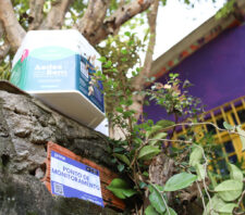 Saúde completa 40 dias de ações contínuas de prevenção à dengue