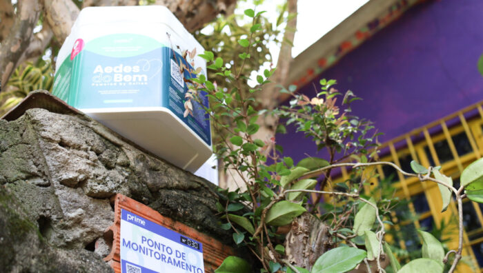 Saúde completa 40 dias de ações contínuas de prevenção à dengue