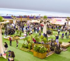 ‘ExpoFlores’ traz diversidade da produção de plantas, exposição e oficinas para a Arena Suzano