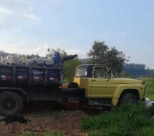 Agentes do GPA impedem crime ambiental na Vila Ipelândia