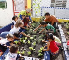 Escolas municipais recebem projeto de horta e pomar comunitários
