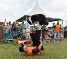 Parque Max Feffer recebe ‘Festcão’ e adoção responsável neste domingo