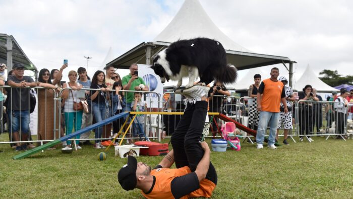 Parque Max Feffer recebe ‘Festcão’ e adoção responsável neste domingo