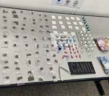 Patrulhamentos resultam em prisão de mulher e na localização de 343 porções de drogas
