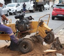 Manutenção retira 72 tocos de árvores das calçadas em duas semanas