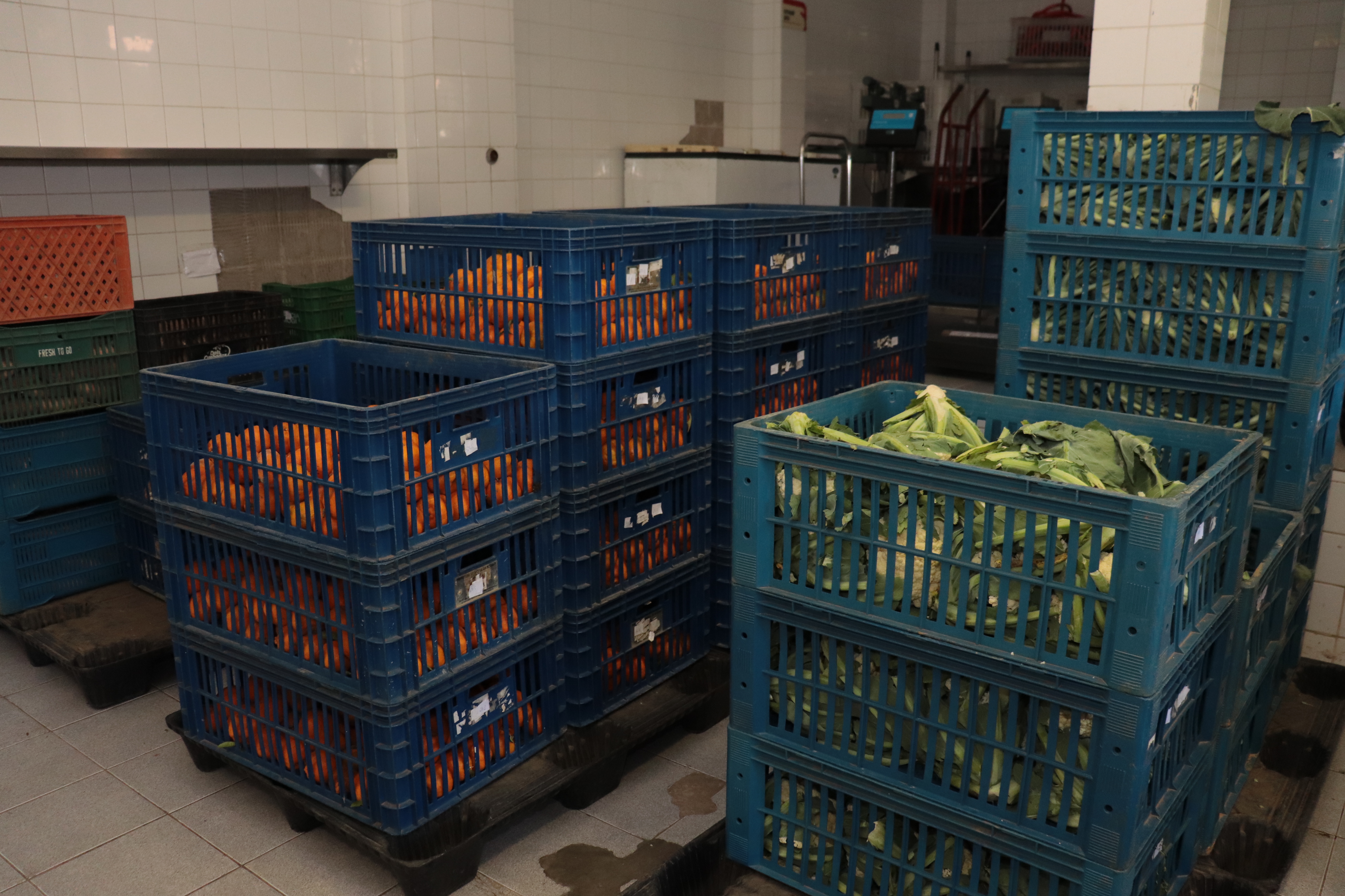 Atenção ao produtor e pioneirismo marcam agricultura de Suzano