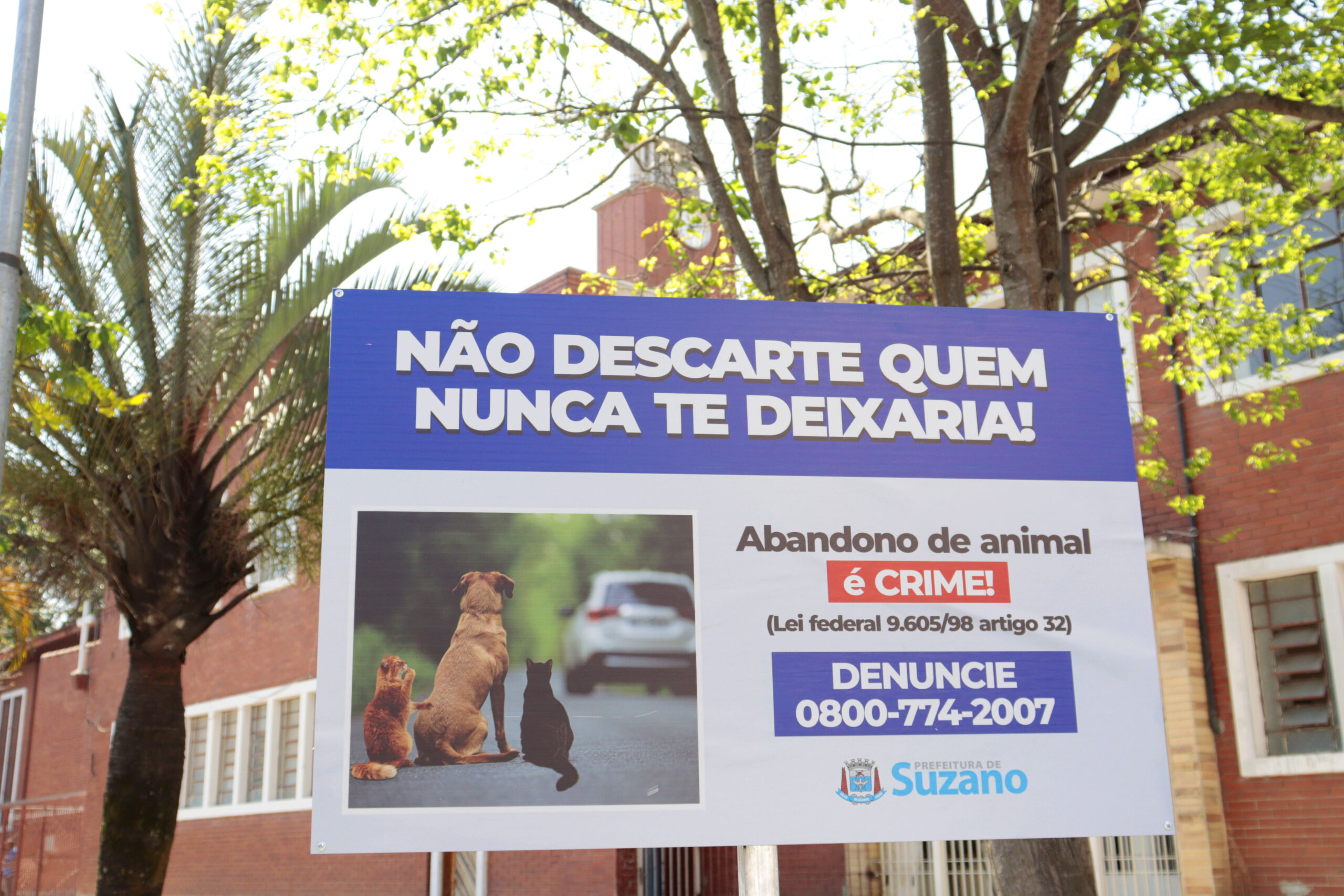 Meio Ambiente reforça conscientização sobre abandono de animais no ‘Dezembro Verde’