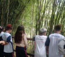 Alunos do Jardim Varan vivenciam experiência educativa sobre sustentabilidade
