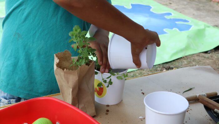 Secretário prestigia atividade de conscientização ambiental no Jardim Monte Cristo