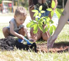 Primeiro mutirão do projeto ‘Árvore FamiliAR’ resulta em 60 mudas plantadas
