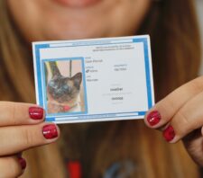 Suzano intensifica ações de combate a maus-tratos a animais