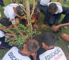 ‘Projeto Educador Ambiental Mirim’ mobiliza alunos em ações sustentáveis