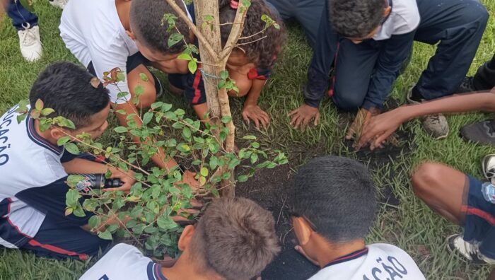 ‘Projeto Educador Ambiental Mirim’ mobiliza alunos em ações sustentáveis