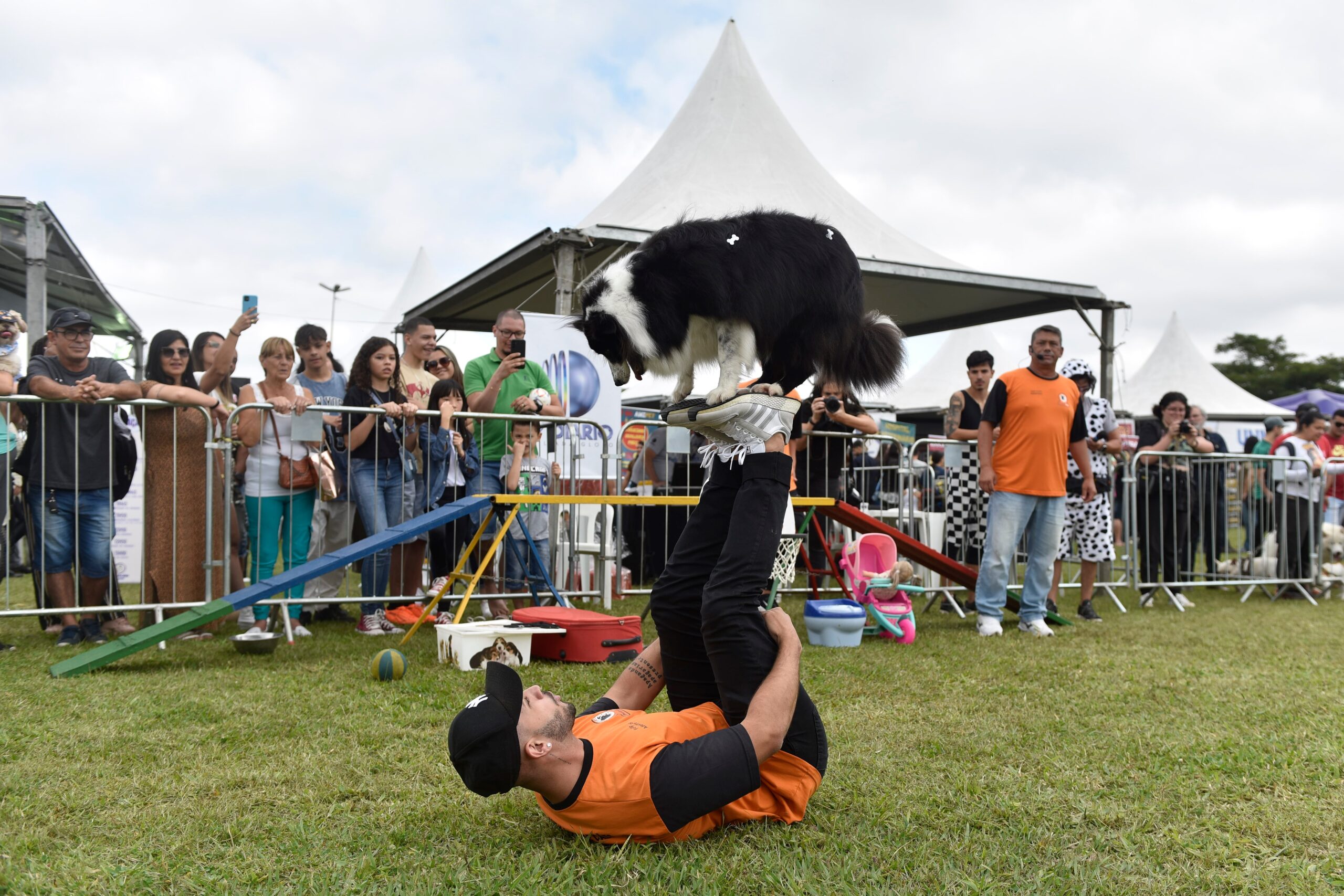 Max Feffer recebe ‘FestCão’ com serviços e campanha de adoção
