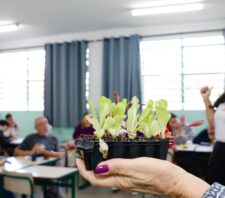 Suzano realiza projeto ‘Sementes do Amanhã – Hortas Pedagógicas’ em dez escolas