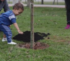 Suzano fortalece laços com a natureza e realiza mais 30 plantios pelo ‘Árvore FamiliAR’