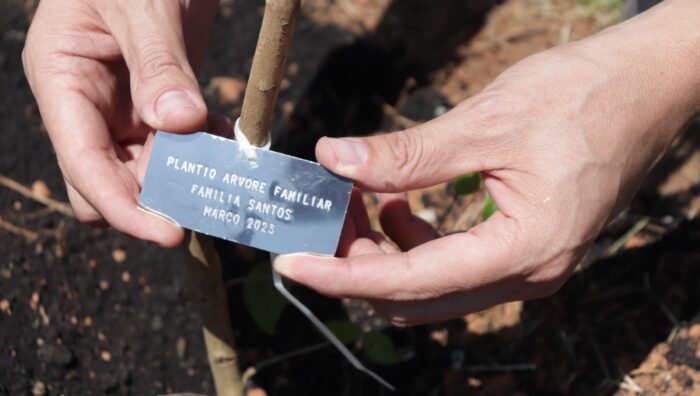 Meio Ambiente reforça ações para atingir meta de 5 mil mudas plantadas em quatro anos