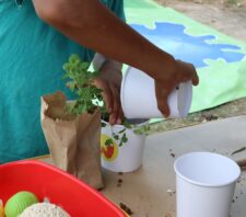 Meio Ambiente e SPMar formam parceria para promover ações sustentáveis