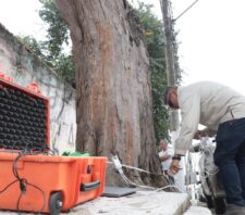 Prefeitura utiliza tomógrafo sônico para monitorar saúde das árvores de Suzano
