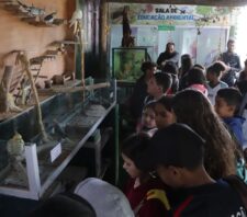 Alunos da rede municipal participam de atividade ambiental no Viveiro Municipal