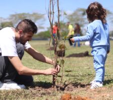Projeto ‘Árvore FamiliAR’ realiza plantio de 50 mudas no Parque Max Feffer