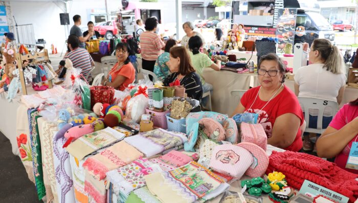 Desenvolvimento Econômico abre agendamento para cadastro de artesãos