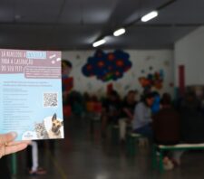 Suzano retoma mutirão de castração com 140 animais atendidos