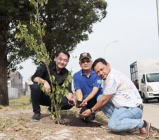 Rua Masanosuke Shibata recebe plantio de 70 mudas de cerejeiras