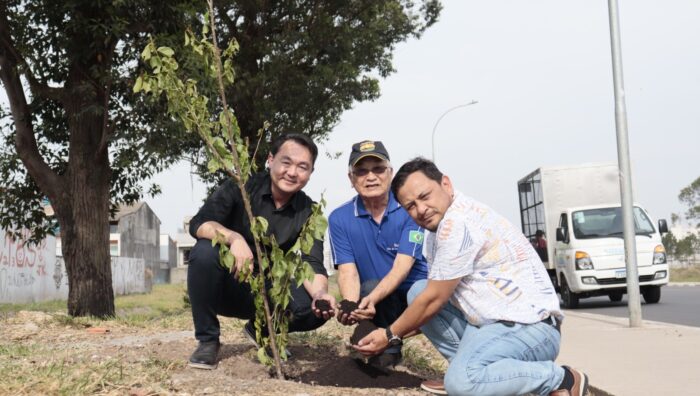 Rua Masanosuke Shibata recebe plantio de 70 mudas de cerejeiras