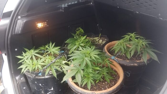 Romu estoura ‘casa bomba’, apreende mais de cinco quilos de drogas e detém dois nas Chácaras Méa