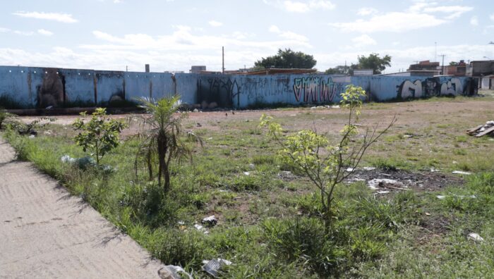 Meio Ambiente reforça atuação contra pontos viciados no Alterópolis e no Monte Cristo