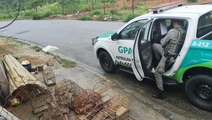 GPA apreende 22 pássaros silvestres e realiza soltura de carcará em área de mata