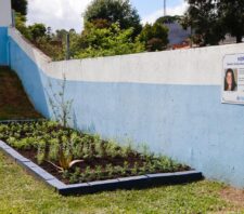 UBS do Tabamarajoara inaugura horta em homenagem a funcionária