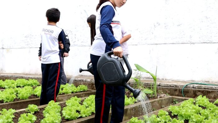 Educação sustentável transforma escola de Suzano em referência ambiental e empreendedora