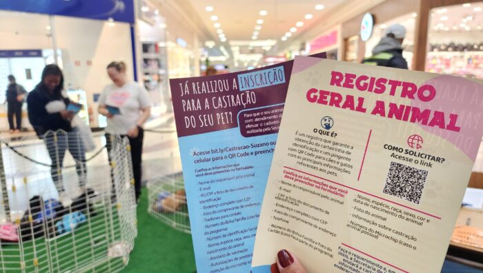 Nova edição presencial do ‘Baby, me Leva!’ ocorre neste sábado