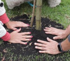 Meio Ambiente realiza último plantio do projeto ‘Árvore FamiliAr’ do ano