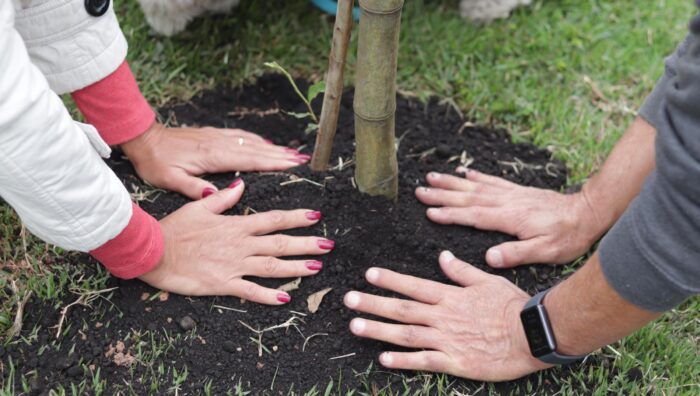 Meio Ambiente realiza último plantio do projeto ‘Árvore FamiliAr’ do ano