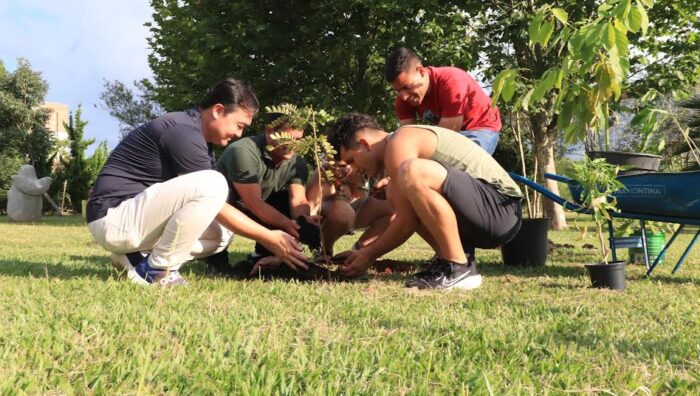 Meio Ambiente promove neste sábado último plantio do ano do projeto ‘Árvore FamiliAR’