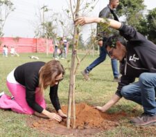 Meio Ambiente promove plantio de 1,86 mil mudas e adoção de 500 pets em 2025
