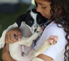 ‘Baby, me Leva!’ garante novo lar para 32 pets na primeira edição presencial do ano