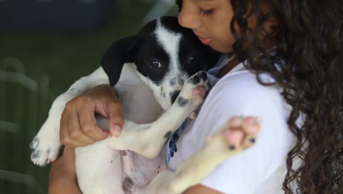‘Baby, me Leva!’ garante novo lar para 32 pets na primeira edição presencial do ano