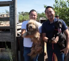 Ação conjunta resgata oito cães em situação precária no Jardim Monte Cristo